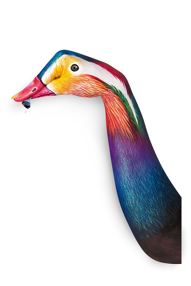 silk-nx-mandarin-duck
